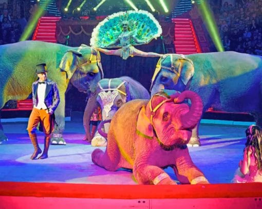 Circus Elephants Performing paint by numbers
