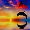 Dolphin Jumping At A Sunset paint by numbers