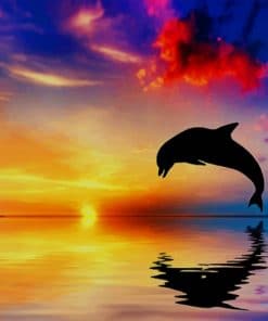 Dolphin Jumping At A Sunset paint by numbers