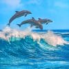 Dolphins Jumping In The Ocean paint by numbers