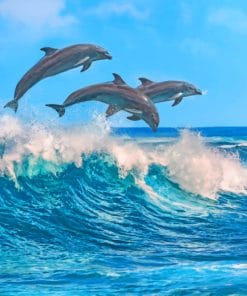 Dolphins Jumping In The Ocean paint by numbers