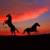 Two Horses At Sunset paint by numbers