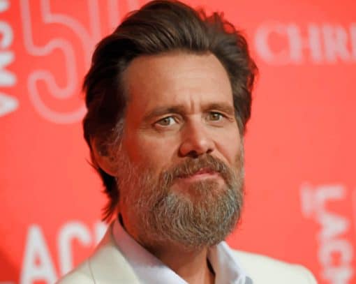 Jim Carrey grey beard paint by numbers