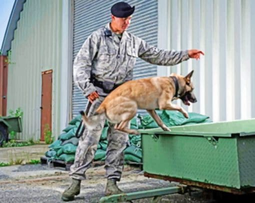 Military Dog Training paint by numbers