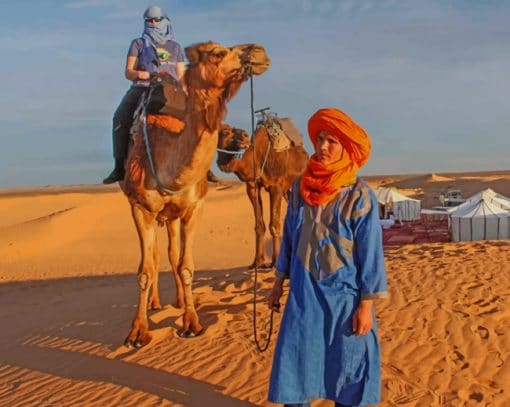 Moroccan Camel Tour paint by numbers
