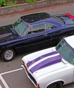 Muscle Cars Parked paint by numbers