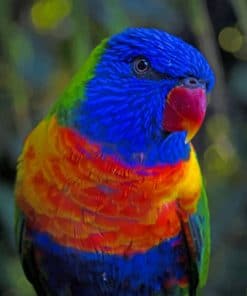 Blue And Orange Parrot paint by numbers