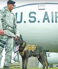 U.S Airforce And A Dog paint by numbers