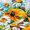Ladybird On Daisy Flowers