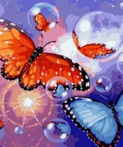 Butterfly Bubbles paint by numbers