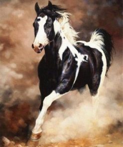Black White Horse Paint by numbers