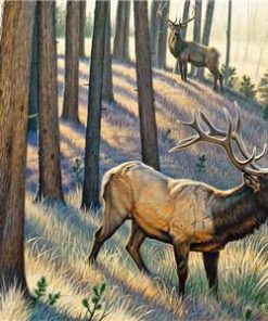 Elk In Woods paint by numbers