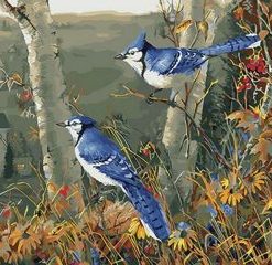 Blue Jay On Flowering Tree Paint by numbers