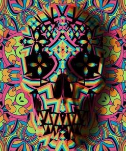 Geometric Skull paint by numbers