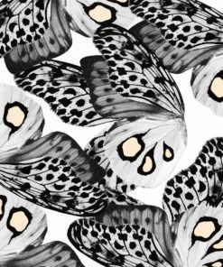 Black And White Butterflies paint by numbers