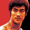 Bruce Lee Paint by numbers