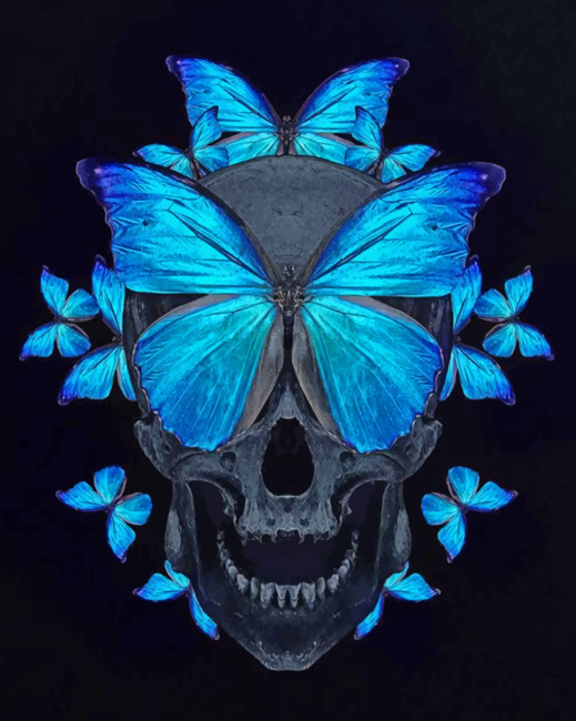 Butterfly Skull Paint by numbers