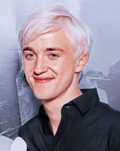 Draco Malfoy Paint by numbers