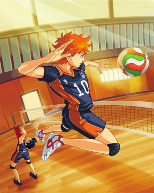 Hinata Haikyuu Paint by numbers