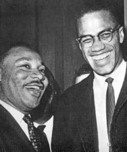 Martin Luther King And Malcolm X paint by numbers