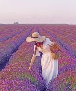 Woman In A Field Of Lavender Paint by numbers