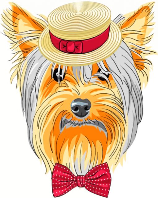 Yorkie Dog Paint by numbers