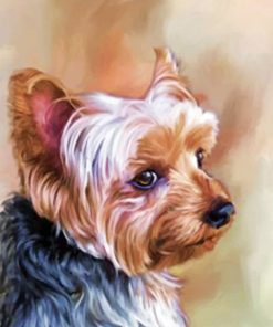 Yorkie Portrait Paint by numbers