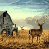 Deer On Farm Paint by numbers