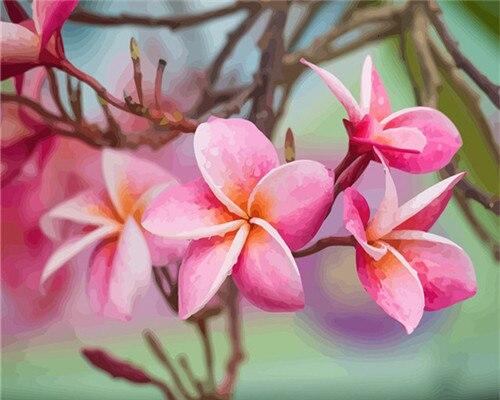 Plumeria Paint by numbers