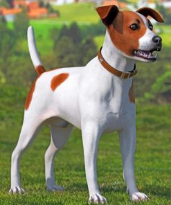 Spotted Jack Russell Terrier Paint by numbers