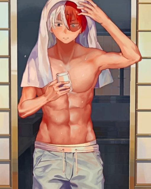 Todoroki Mirror Selfie Paint by numbers