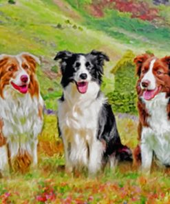 Aesthetic Border Collies paint by numbers