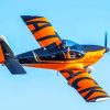 Black And Orange Airplane Paint by numbers