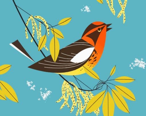 Bird By Charley Harper Paint by numbers