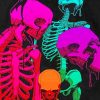 Colorful Skeletons Paint by numbers