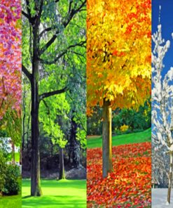 four-seasons-paint-by-number
