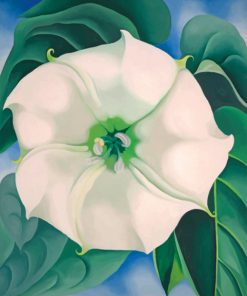 Georgia O Keeffe White Flower Paint by numbers