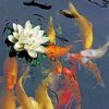 Koi Fish Pond paint by numbers