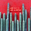 Mexico Mi Amor Paint by numbers