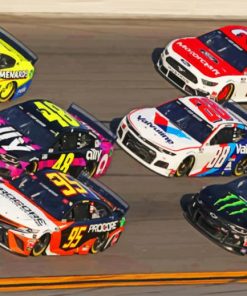 Nascar Cars paint by numbers