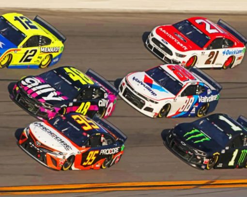 Nascar Cars paint by numbers