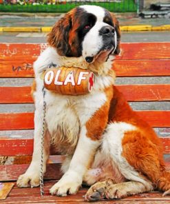 Olaf Saint Bernard paint by numbers