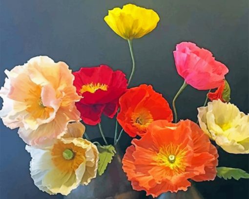 Aesthetic Poppies Paint by numbers