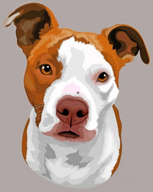 Staffy Dog paint by numbers