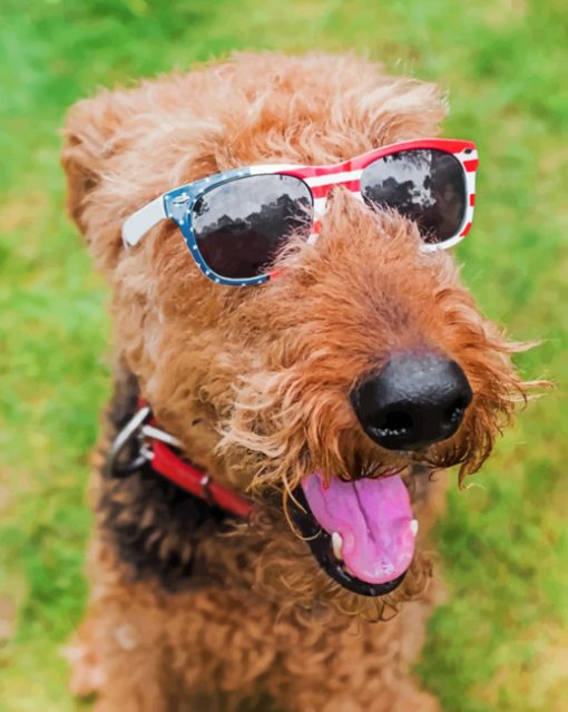 Stylish Airedale paint by numbers
