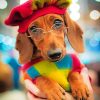 Stylish Dachsund paint by numbers