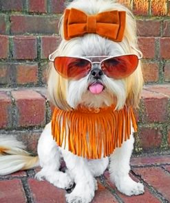 Stylish Shih Tzu Paint by numbers