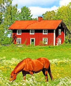 Sweden Farm Paint by numbers