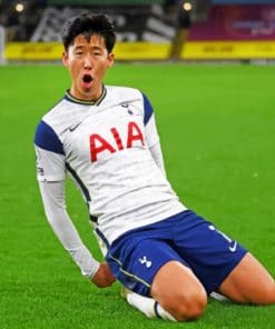 Heung Min paint by numbers