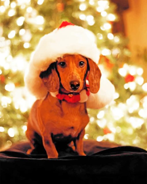 Christmas Dachshund Paint by numbers
